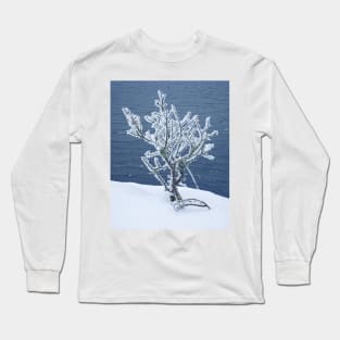 Small frosty tree at the lake Long Sleeve T-Shirt